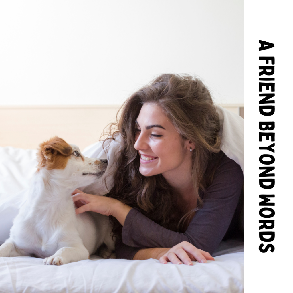 IG A Friend Beyond Words = riya loveguard